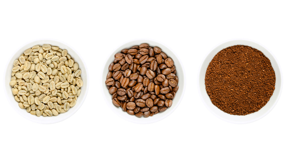 What is Coffee, Really?– Vantage Coffee Roasters